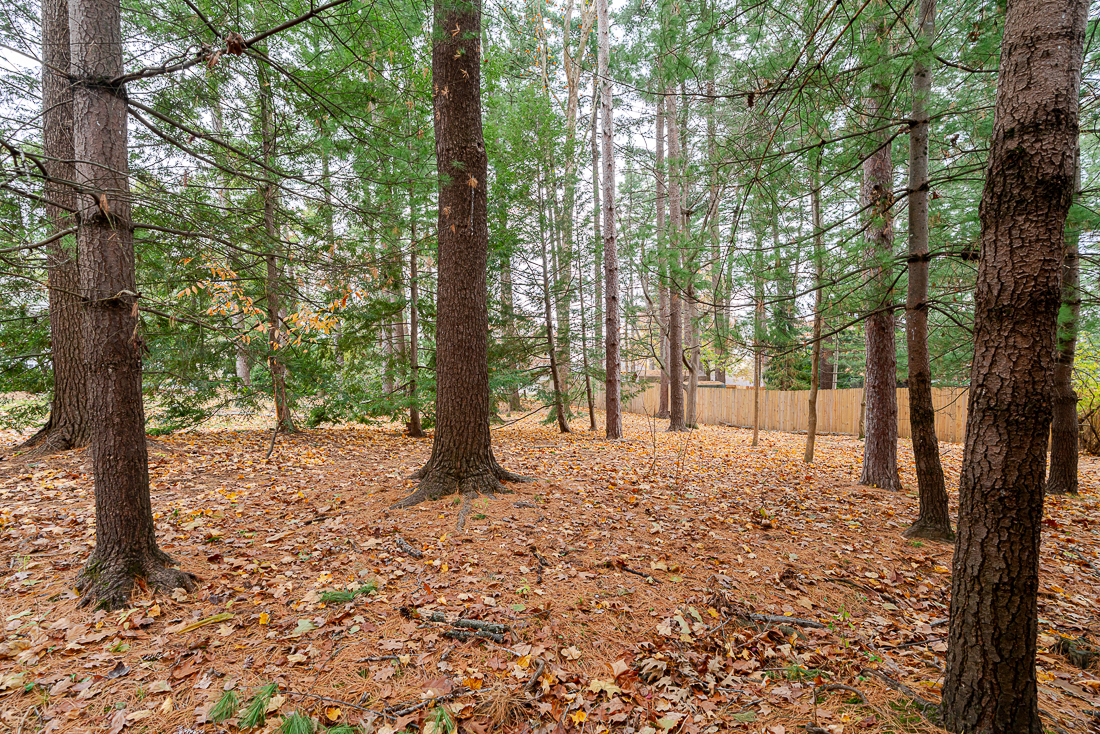 111 North Nob Hill-13