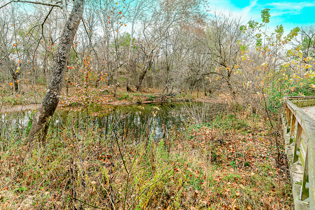 111 North Nob Hill-54