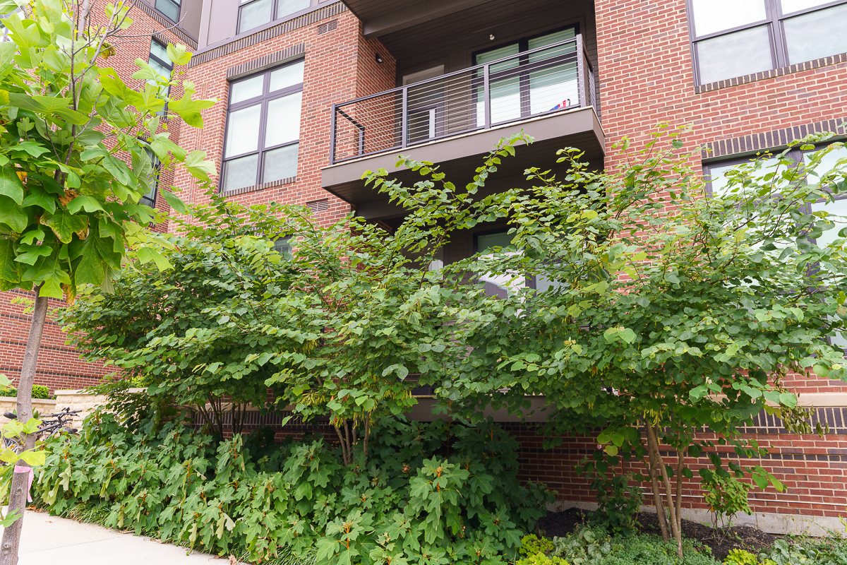 6640 Mooney St #212-6