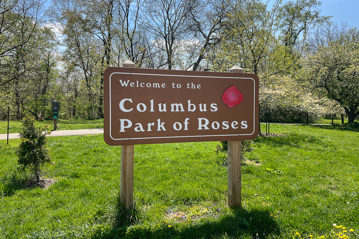 316 Charleston Ave-39