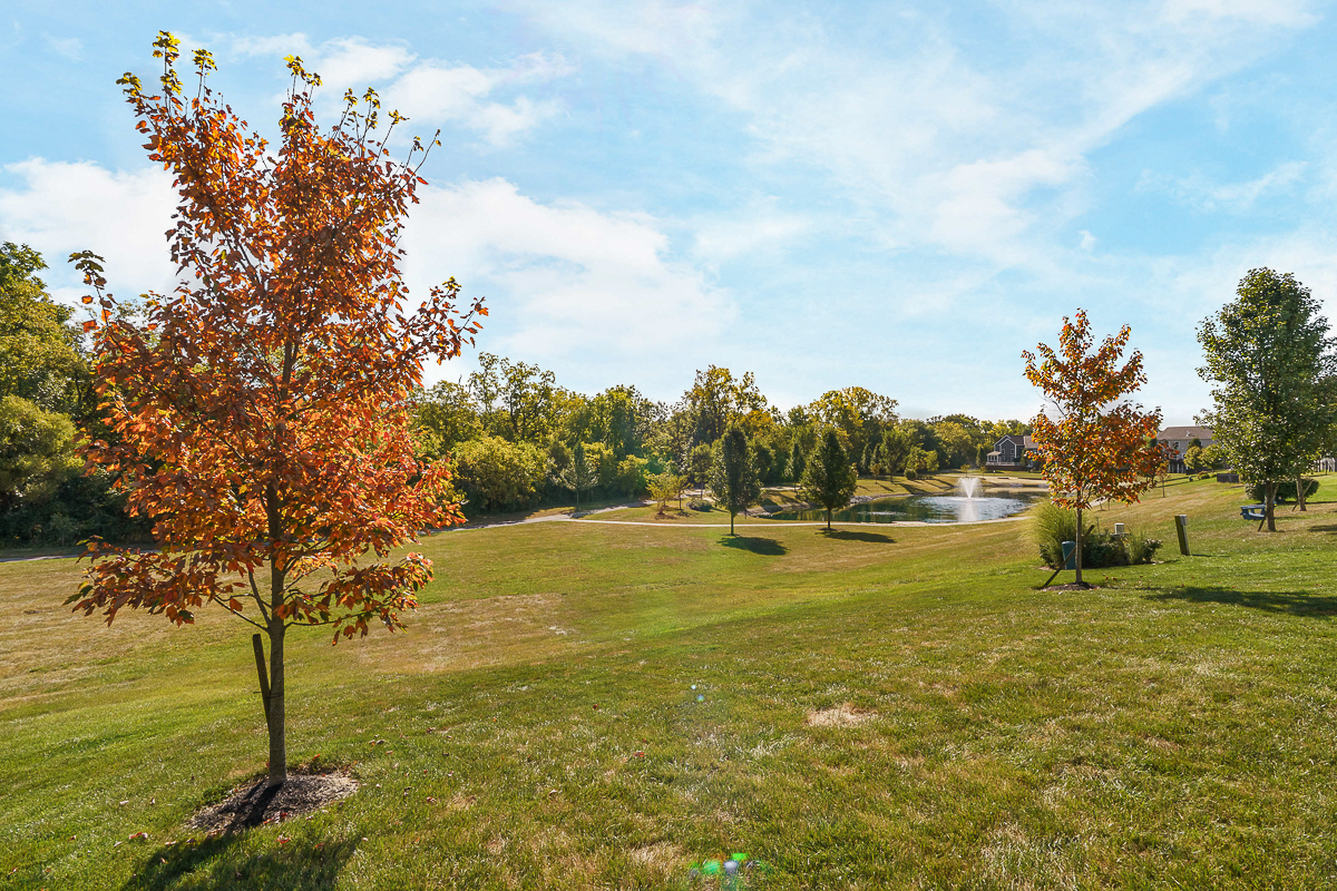 4880 Pinnacle Woods Dr-4