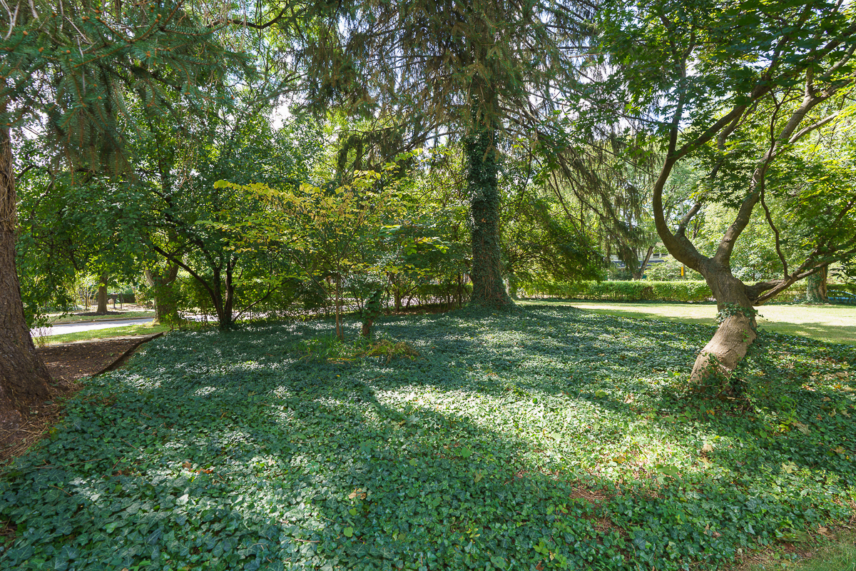 436 s Parkview Ave EXT-12